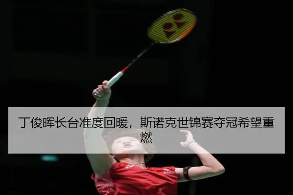 ding-jun-hui-zhang-tai-zhun-du-hui-nuan-si-nuo-ke-shi-jin-sai-duo-guan-xi-wang-zhong-ran-2-856.jpg