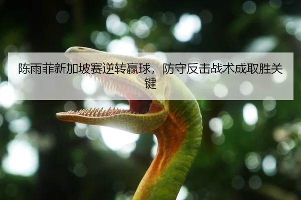 陈雨菲新加坡赛逆转赢球，防守反击战术成取胜关键