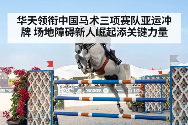 equestrian eventing horse rider
